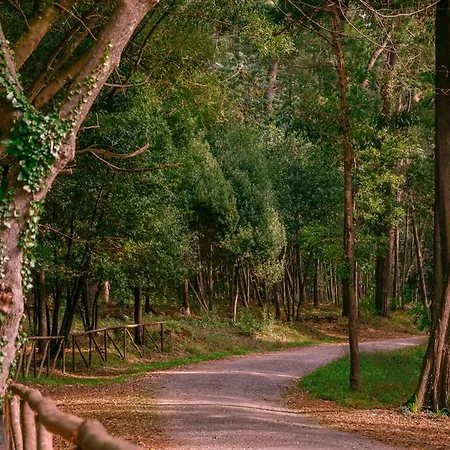 Apartamento Sunset Figueira da Foz