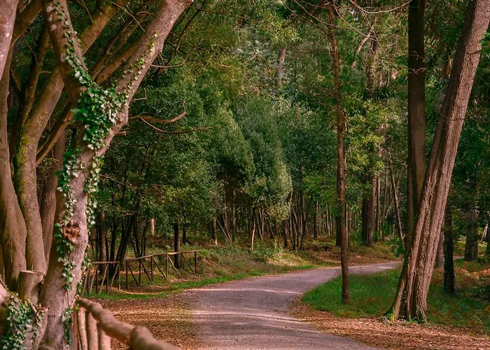 Appartement Sunset Figueira da Foz